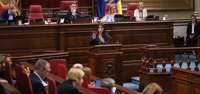 Carmen Hernández, en una intervención ante el Parlamento de Canarias / TA